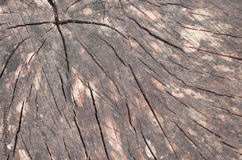 Holz Maserung Hintergrund