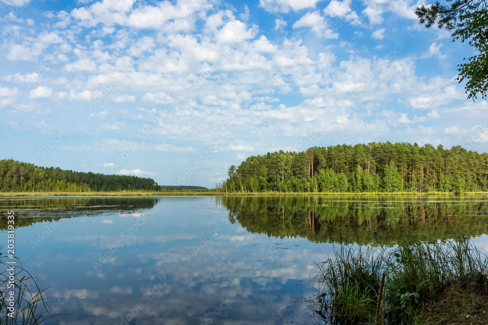 forest lake on blue sky background with clouds