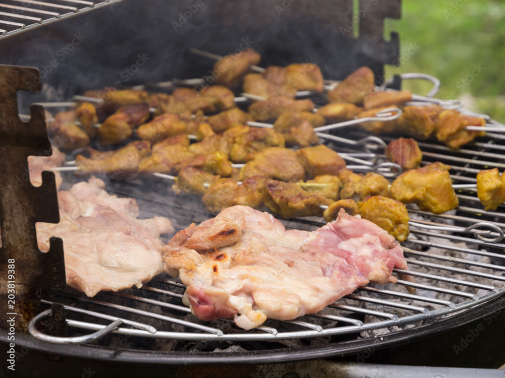 barbecue of chicken and brochettes ok pork barbecue of chicken and brochettes ok pork