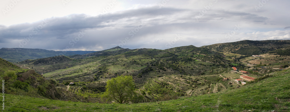 Morella