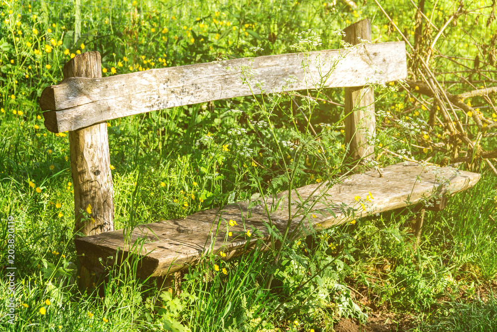 Old bench, overgrown with grass, wooden bench, abandoned property Old bench, overgrown with grass, wooden bench, abandoned property
