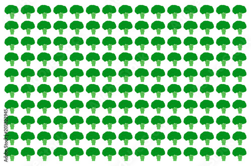 Vector broccoli lined in symmetrical order on white background