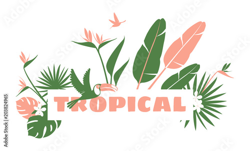 Tropical flowers, jungle palm leaves, paradise tropical humming birds and toucans. Vector floral pattern background Frame border, exotic print. Flat style Boho design: pink, white, green