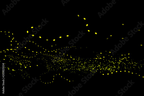 Firefly, lightning bugs on black background photo