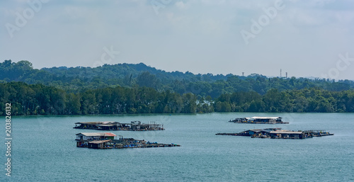 Floating fish farm in Johor Strait - aquaculture farms on the water where people breed fishes and crabs.