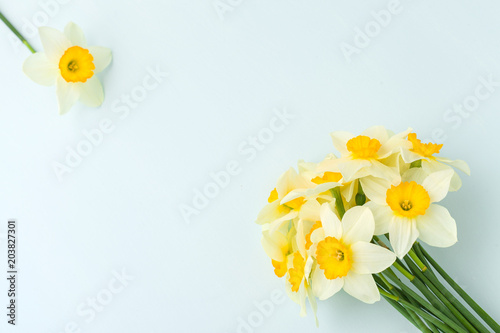 Fototapeta Naklejka Na Ścianę i Meble -  Spring flowers daffodil bouquet - top view of white narcissus on blue pastel background with copy space.