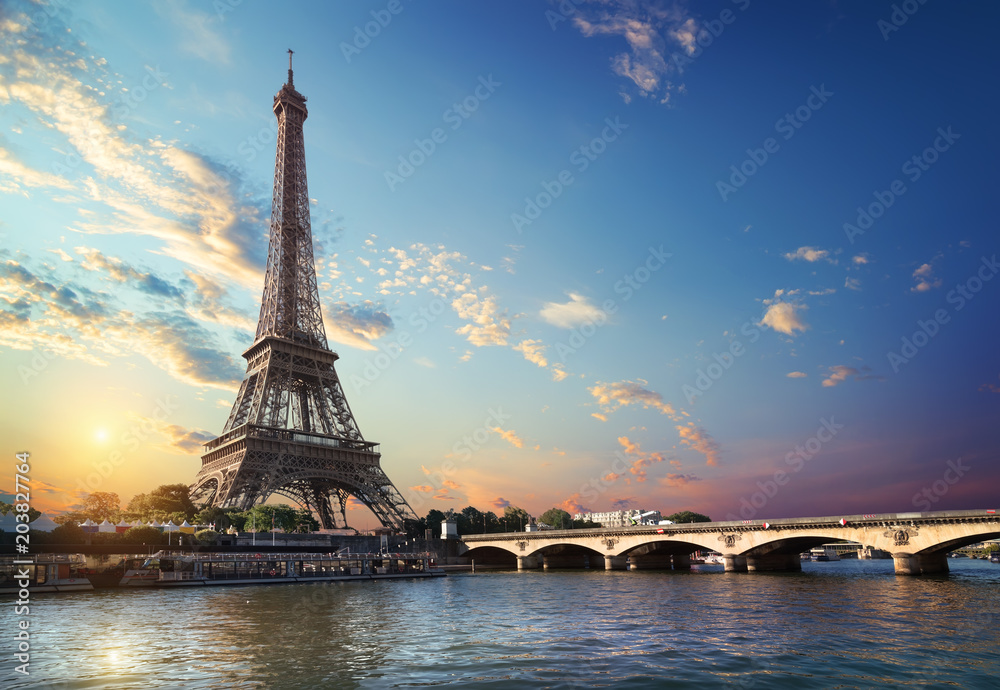 Bridge Iena in Paris - obrazy, fototapety, plakaty 
