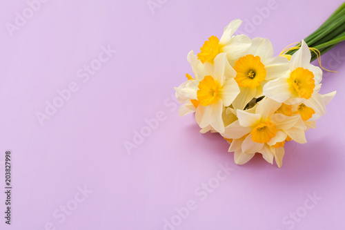 Fototapeta Naklejka Na Ścianę i Meble -  White daffodil bouquet on violet pastel background with copy space.
