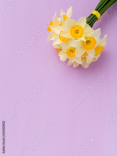 Fototapeta Naklejka Na Ścianę i Meble -  White daffodil bouquet on violet pastel background with copy space.