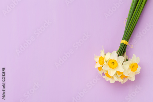 Fototapeta Naklejka Na Ścianę i Meble -  White daffodil bouquet on violet pastel background with copy space.