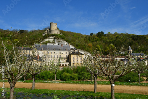 La Roche Guyon; France - april 17 2018 : castle photo