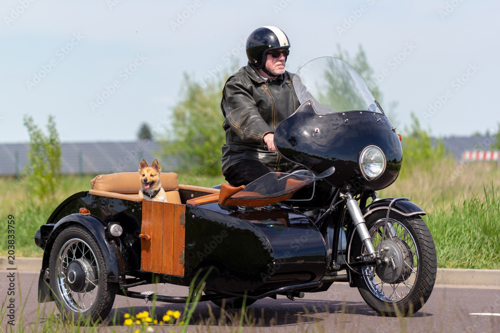 A Shetland Sheepdog is sitting in a motorbike side car A Shetland Sheepdog is sitting in a motorbike side car