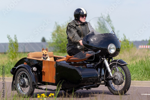A Shetland Sheepdog is sitting in a motorbike side car