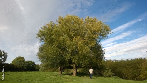 Stunnning beautiful rural scene with lone man figure walkin lush green fields and trees by the River Cam in Granchester in Cambridgeshire East Anglia on a bright Summer day in sunshine with blue skies photo