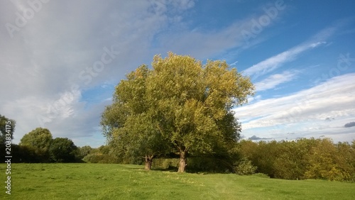 Stunnning beautiful rural scene with rolling lush green fields and trees by the River Cam in Granchester in Cambridgeshire East Anglia on a bright Summer day in sunshine with blue skies photo
