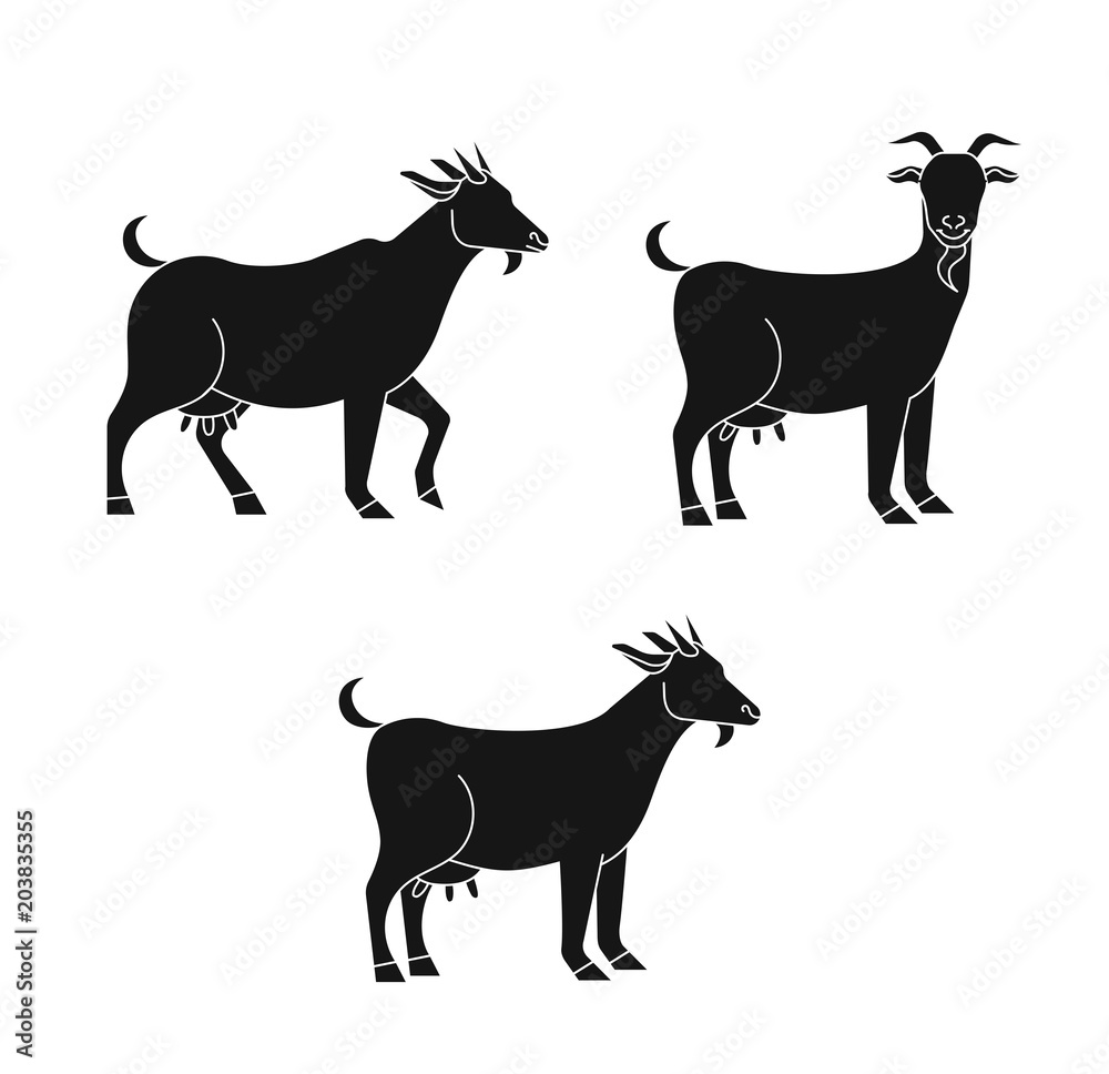 Set of cute goat vector flat illustration isolated on white    animal goat cartoon character Stock Vector | Adobe Stock