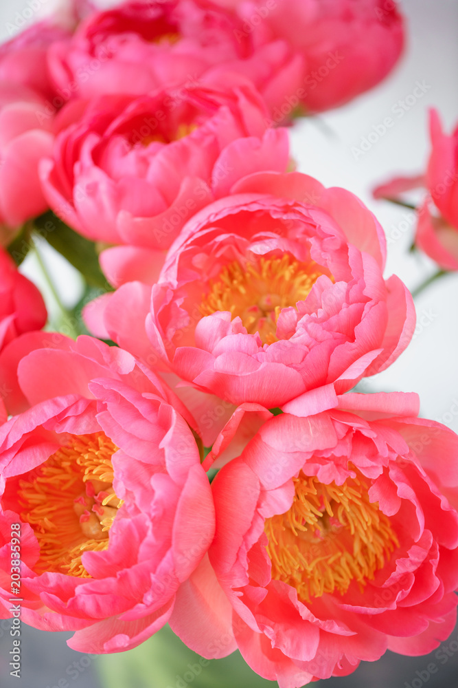 Lovely flowers in glass vase. Beautiful bouquet of peonies sort of coral charm. Floral composition, scene, daylight. Wallpaper Lovely flowers in glass vase. Beautiful bouquet of peonies sort of coral charm. Floral composition, scene, daylight. Wallpaper