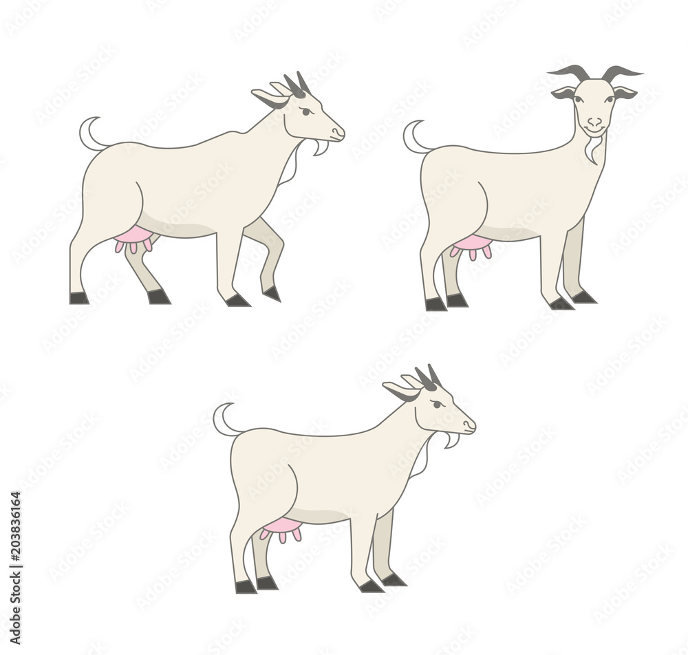 Set of cute goat vector flat illustration isolated on white   colors. Farm animal goat cartoon character Stock Vector |  Adobe Stock