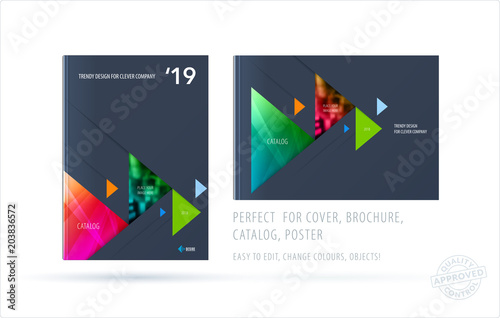 Wallpaper Mural Brochure design triangular template. Colourful modern abstract set, annual report with triangles for branding. Torontodigital.ca