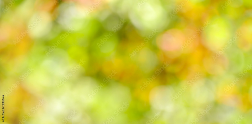 Green blurred background of tree leaves. Green blurred background of tree leaves.