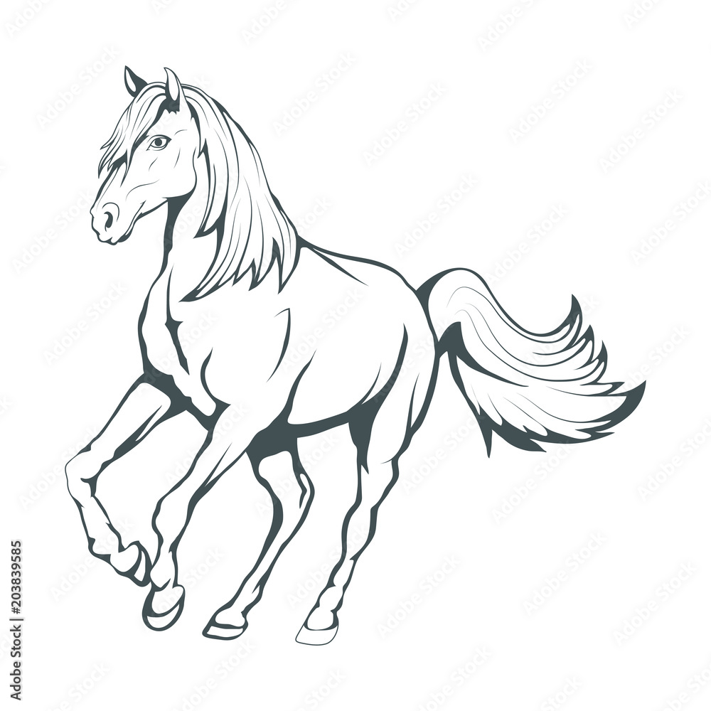 Horse. Hand drawn horse. Sketch of horse head. Vector artwork. –  Stock-Vektorgrafik | Adobe Stock