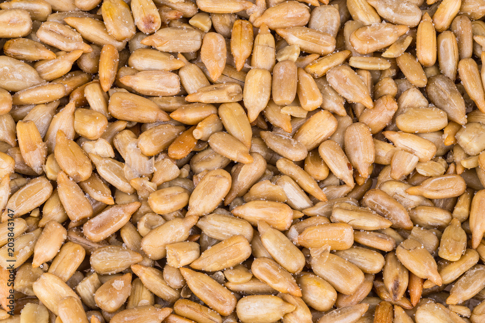 Texture of salted sunflower seeds. Helianthus. Top view of pile from golden roasted grains sprinkled by crystals of kitchen salt. Culinary background. Texture of salted sunflower seeds. Helianthus. Top view of pile from golden roasted grains sprinkled by crystals of kitchen salt. Culinary background.