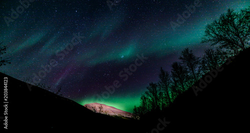Aurora Borealis  northern lights  Tromsdalstiden - Tromso -  north Norway