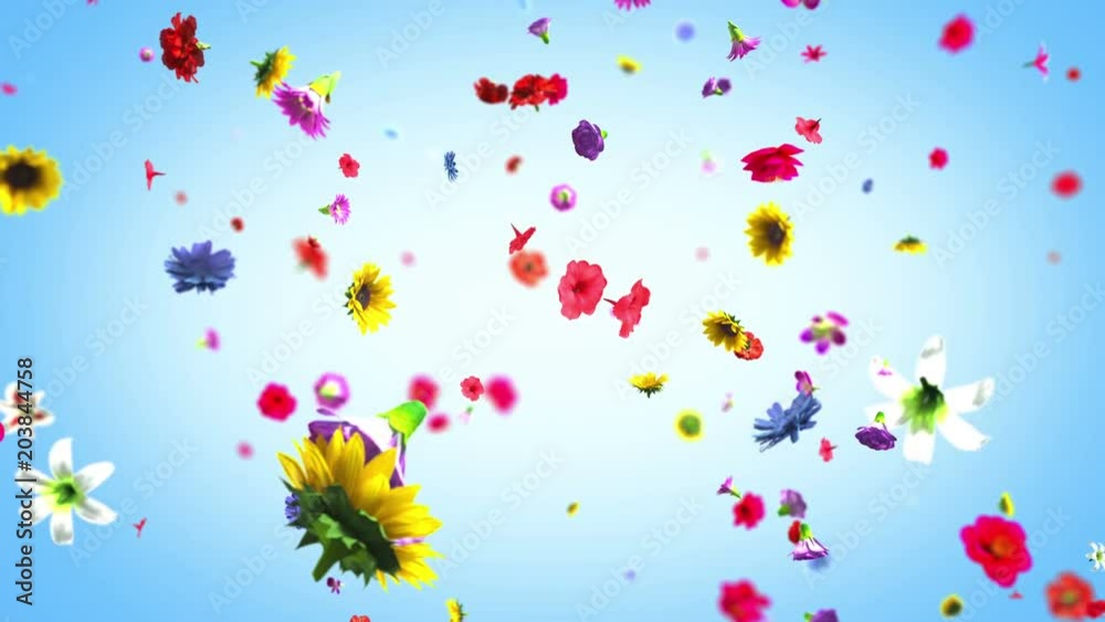 Exploding colorful flowers in 4K