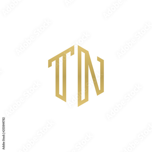 Initial letter TN  minimalist line art hexagon shape logo  gold color