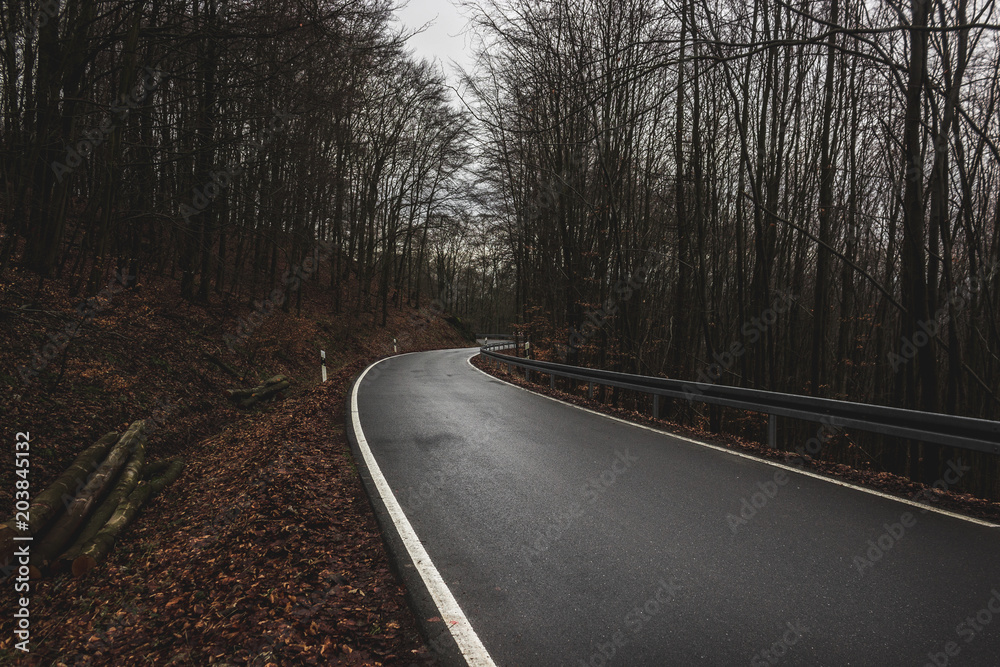 Fototapeta premium road