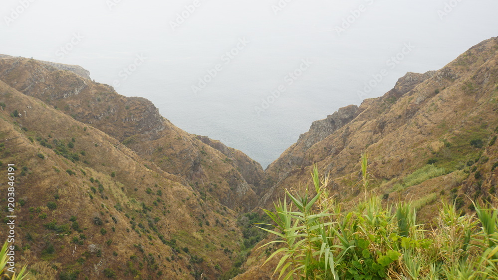 Fototapeta premium nature