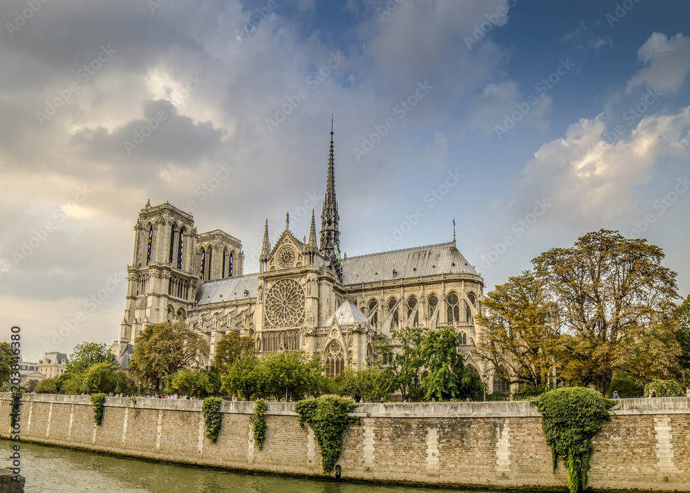 Vista de la catedral de Notre Dame de Paris en Francia
