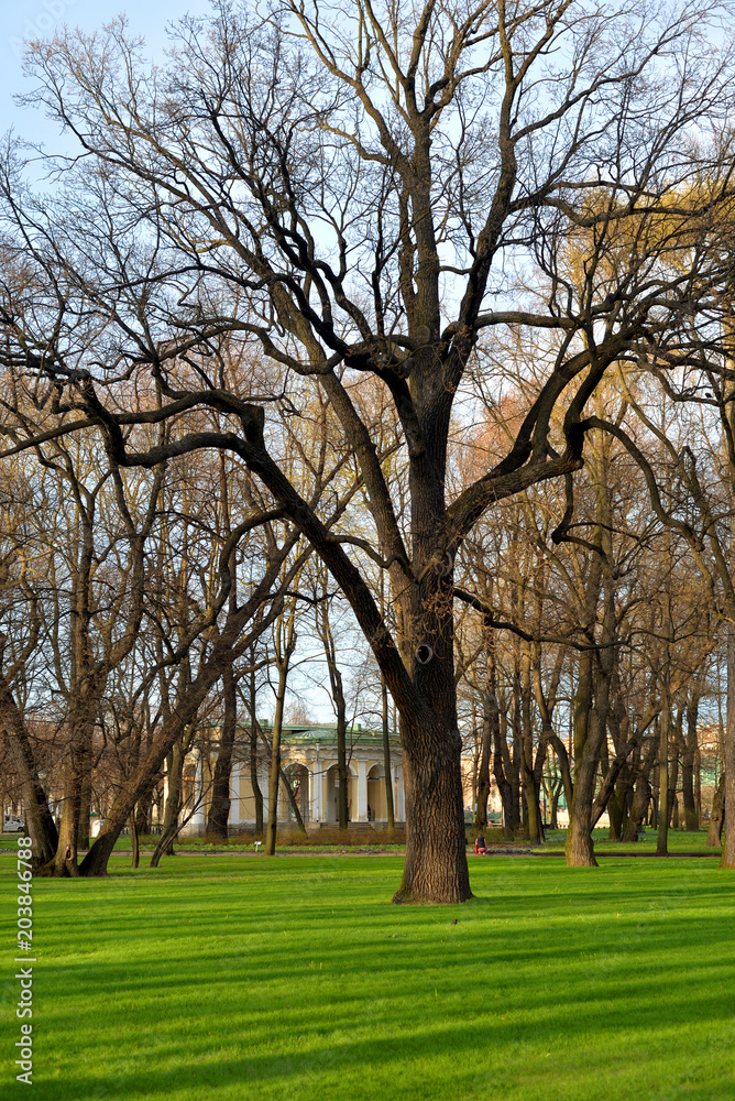 Obraz premium Mikhailovsky Garden at spring.