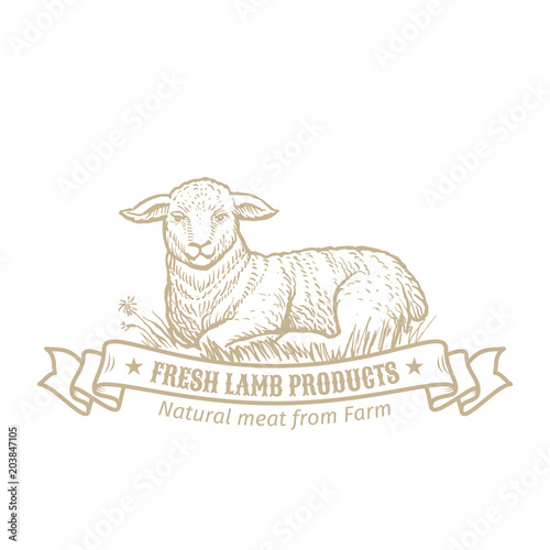 Isolated vintage golden and royal emblem of farm animal. Fresh and tasty lamb meat. Butchery products market. Hand made illustration and lettering. Concept template for branding