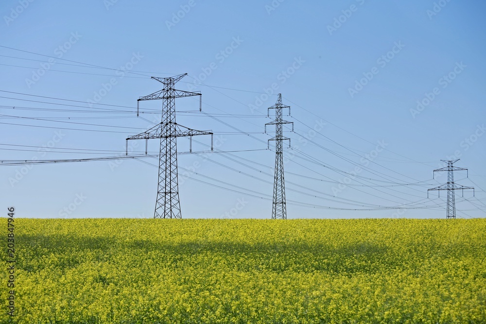 Summer countryside with electricity pylons, high-voltage power lines, horizon field of yellow oilseed rape, clear blue sky, sunny day
