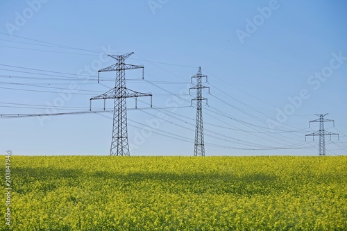 Summer countryside with electricity pylons, high-voltage power lines, horizon field of yellow oilseed rape, clear blue sky, sunny day