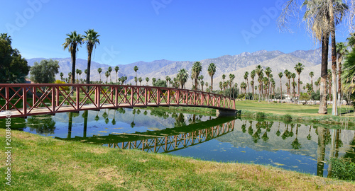 Green manicured grass of golf course and palm trees with blue skies with mountain background photo