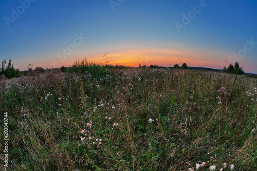 Sunset in summer field