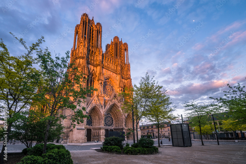 Warmly illuminated Reims cathedral in sunset light, France - obrazy, fototapety, plakaty 