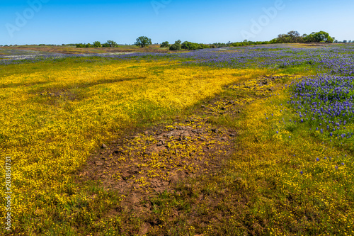 North Table Mountain