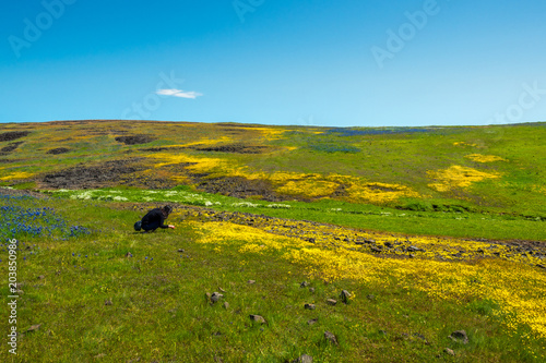 North Table Mountain