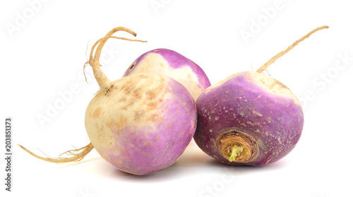 fresh turnips on a white background photo