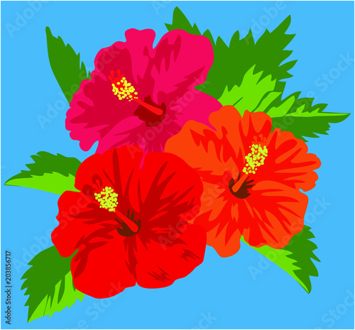 Vector illustration of tropical red hibiscus flowers with leaves isolated on blue background ハイビスカスのベクター素材