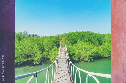 Wooden walking bridge in ma...