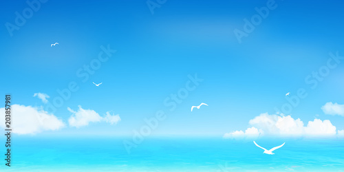 海　夏　カモメ　背景 