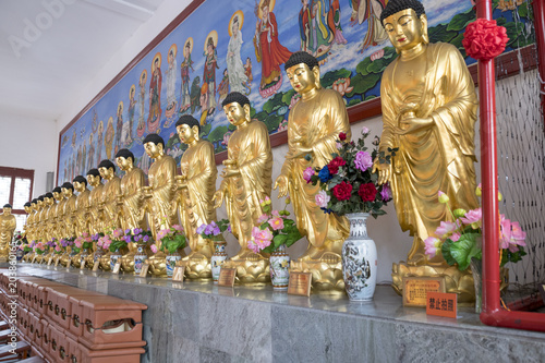 row of standing gold buddhas, jiliesi temple, indoor, harbin, heilongjiang china