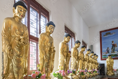 row of standing gold buddhas, jiliesi temple, indoor, harbin, heilongjiang china