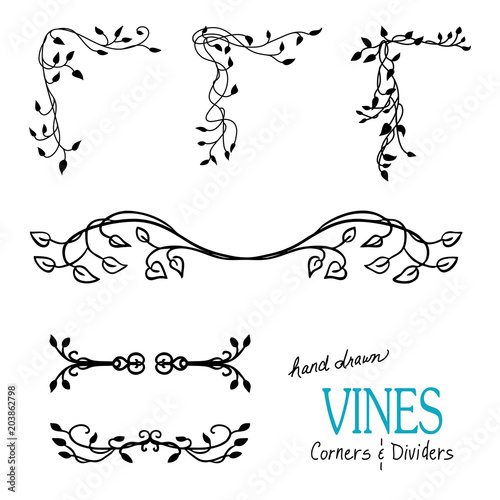 Ivy and vine design elements with flourishes curls and swirls for border corners and underline dividers and are hand drawn vector illustrations for wedding and Victorian designs.