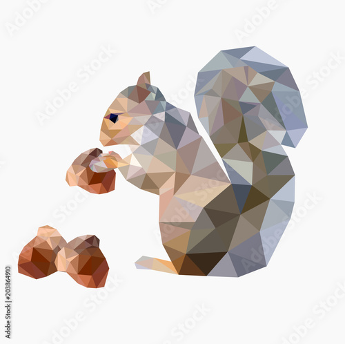 Low poly colorful squirrel holding acorn ,animal geometric concept,vector.	