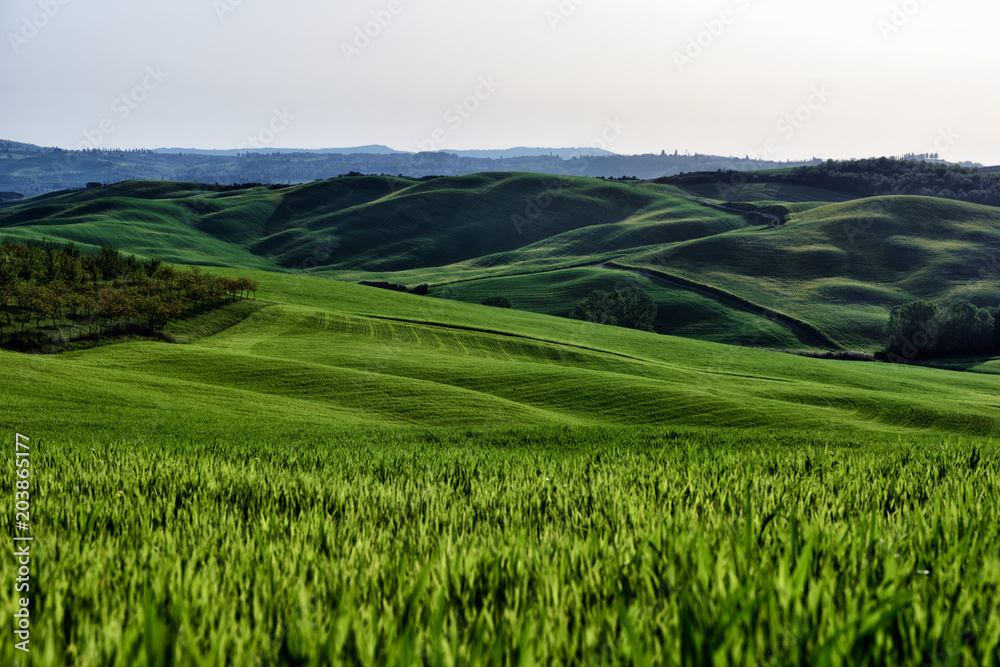The hill of Tuscany, paradise is next /Tuscany My country My love, LOVELY EARTH from Italy, Tuscany land